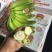 常年供应精品好蕉，特价香蕉，果面干净、黄金蕉不受寒