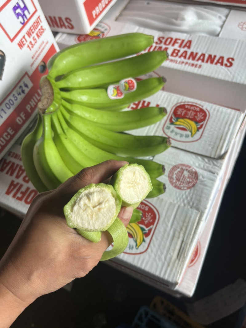 常年供应精品好蕉，特价香蕉，果面干净、黄金蕉不受寒