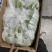 常年供应精品好蕉，特价香蕉，果面干净、黄金蕉不受寒