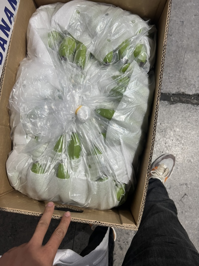 常年供应精品好蕉，特价香蕉，果面干净、黄金蕉不受寒