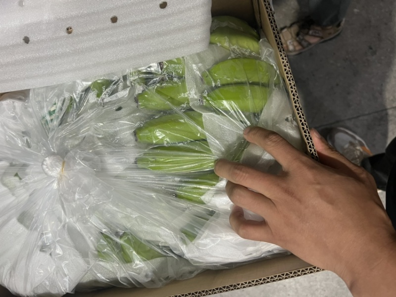 常年供应精品好蕉，特价香蕉，果面干净、黄金蕉不受寒