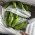 常年供应精品好蕉，特价香蕉，果面干净、黄金蕉不受寒