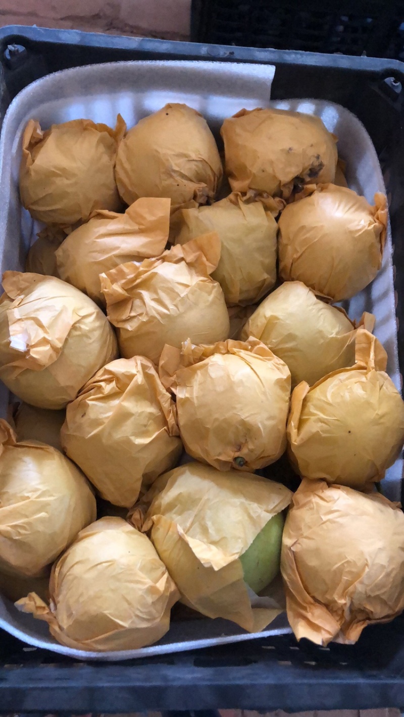 绿宝石梨250~300g纸袋