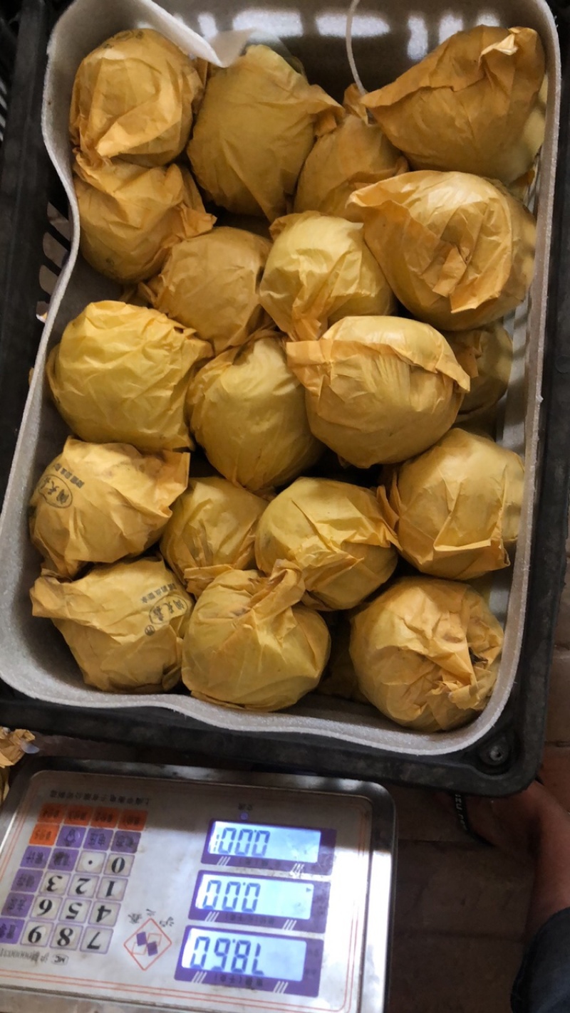 绿宝石梨250~300g纸袋