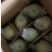 预售。昭阳区洒渔镇，青香蕉苹果大量上市欢迎老板们的光临。