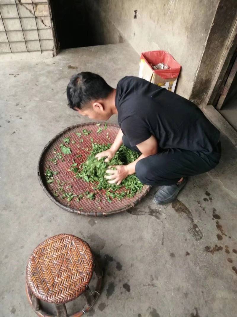 茶叶