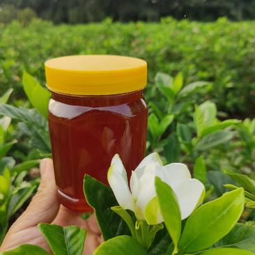 栀子花土蜂蜜（高山土蜂蜜）