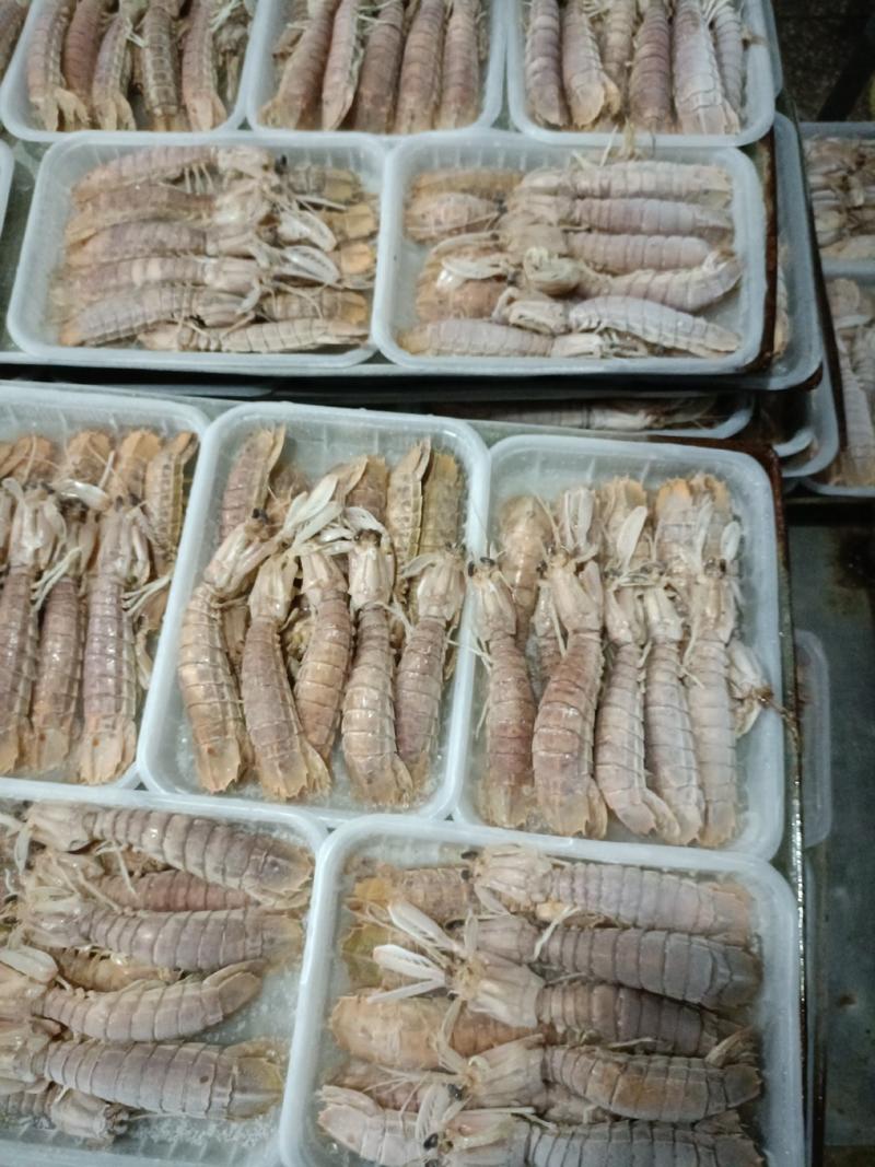 北部湾特产新鲜活煮皮皮虾（虾菇），提供方便、锁住鲜度满肉