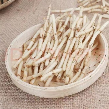 当阳市师杰红薯种植专业合作社