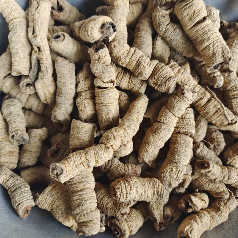 巴戟肉巴戟天全抽芯规格齐全产地广东紫轩堂药业