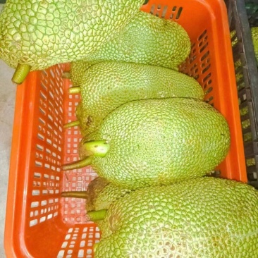 榴莲蜜榴莲小量上市