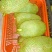 榴莲蜜榴莲小量上市
