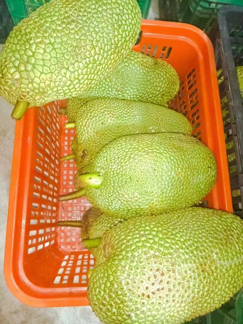 榴莲蜜榴莲小量上市
