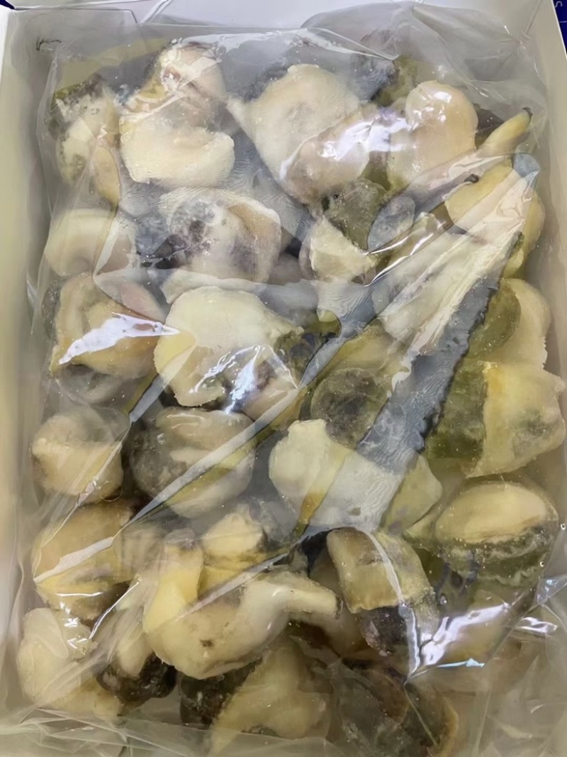 海螺肉去壳海螺头海螺肉江苏海鲜水产批发