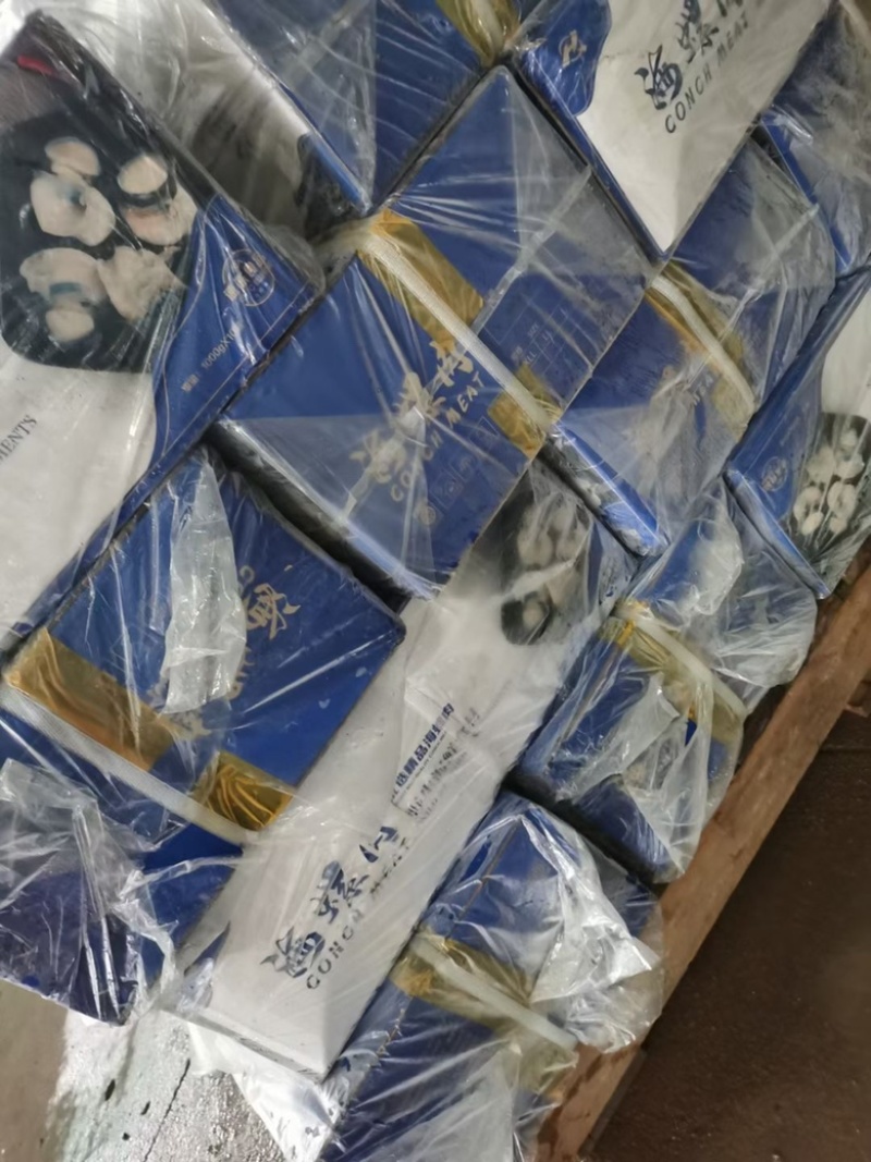 海螺肉去壳海螺头海螺肉江苏海鲜水产批发