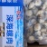 海螺肉去壳海螺头海螺肉江苏海鲜水产批发