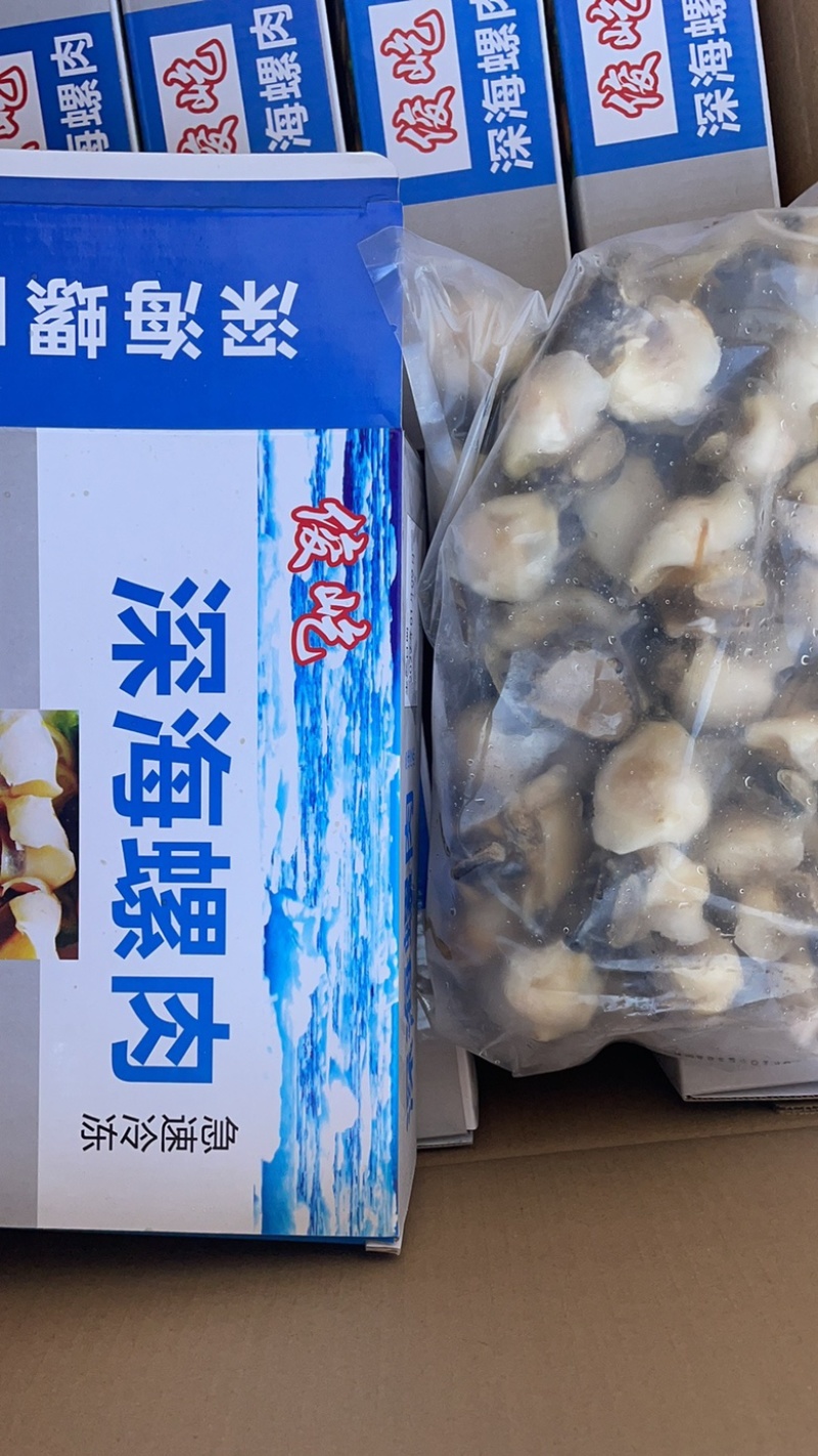 海螺肉去壳海螺头海螺肉江苏海鲜水产批发