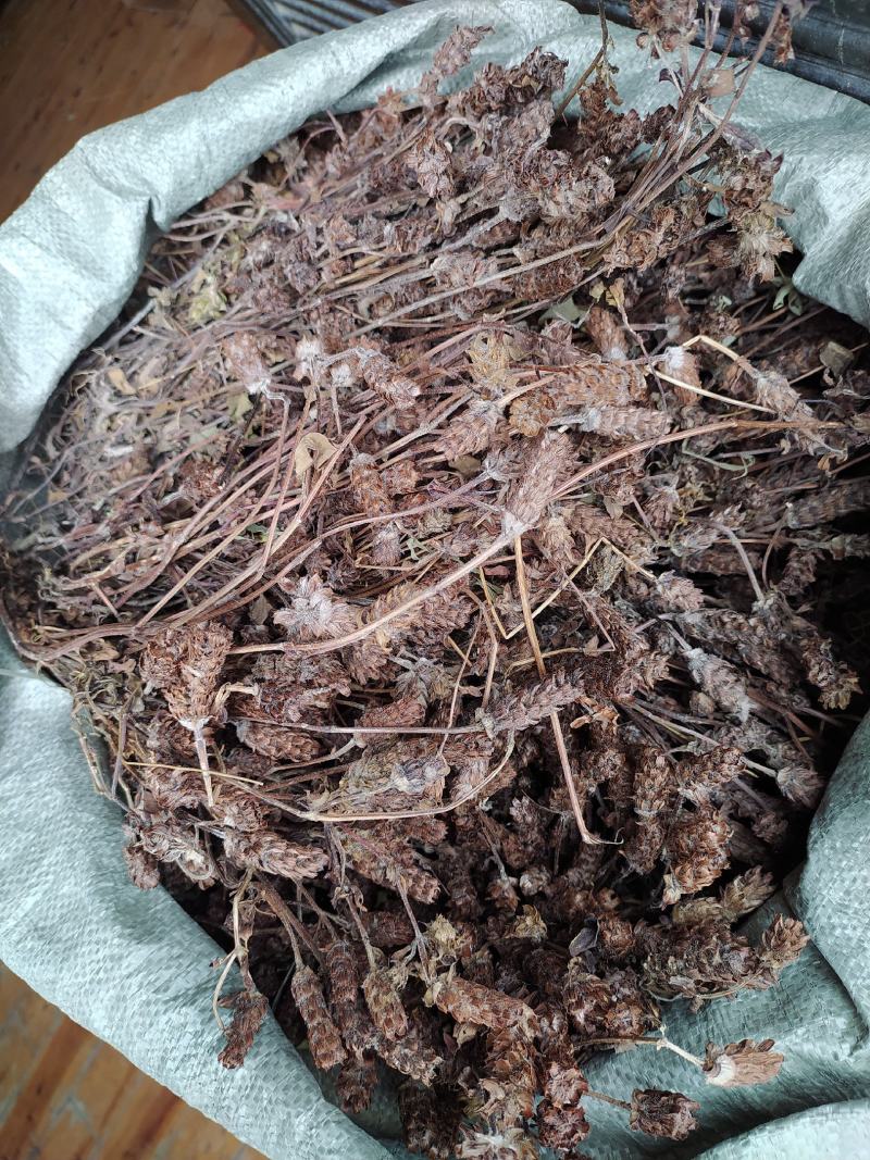 贵州铜仁野生无硫药材夏枯球干货夏枯草干品无杂质产地直发