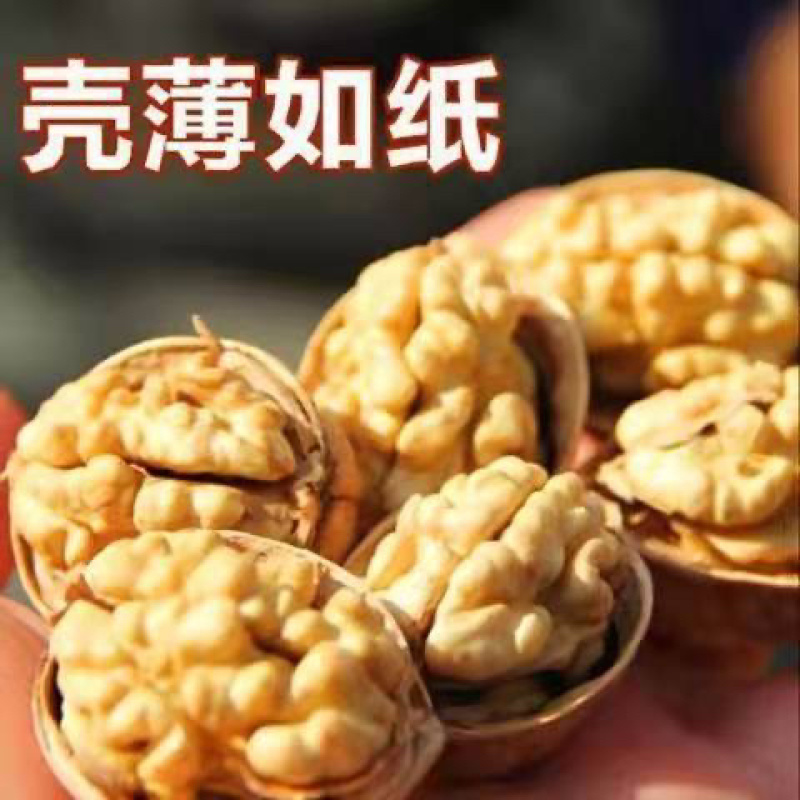 新疆18薄皮纸皮核桃礼品散装原味零食坚果礼品核桃手可捏开