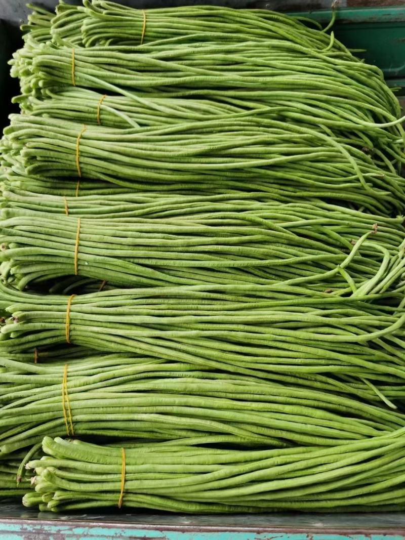 【实力】长豆角，豇豆，豆角，产区大量供应，各种蔬菜可拼车