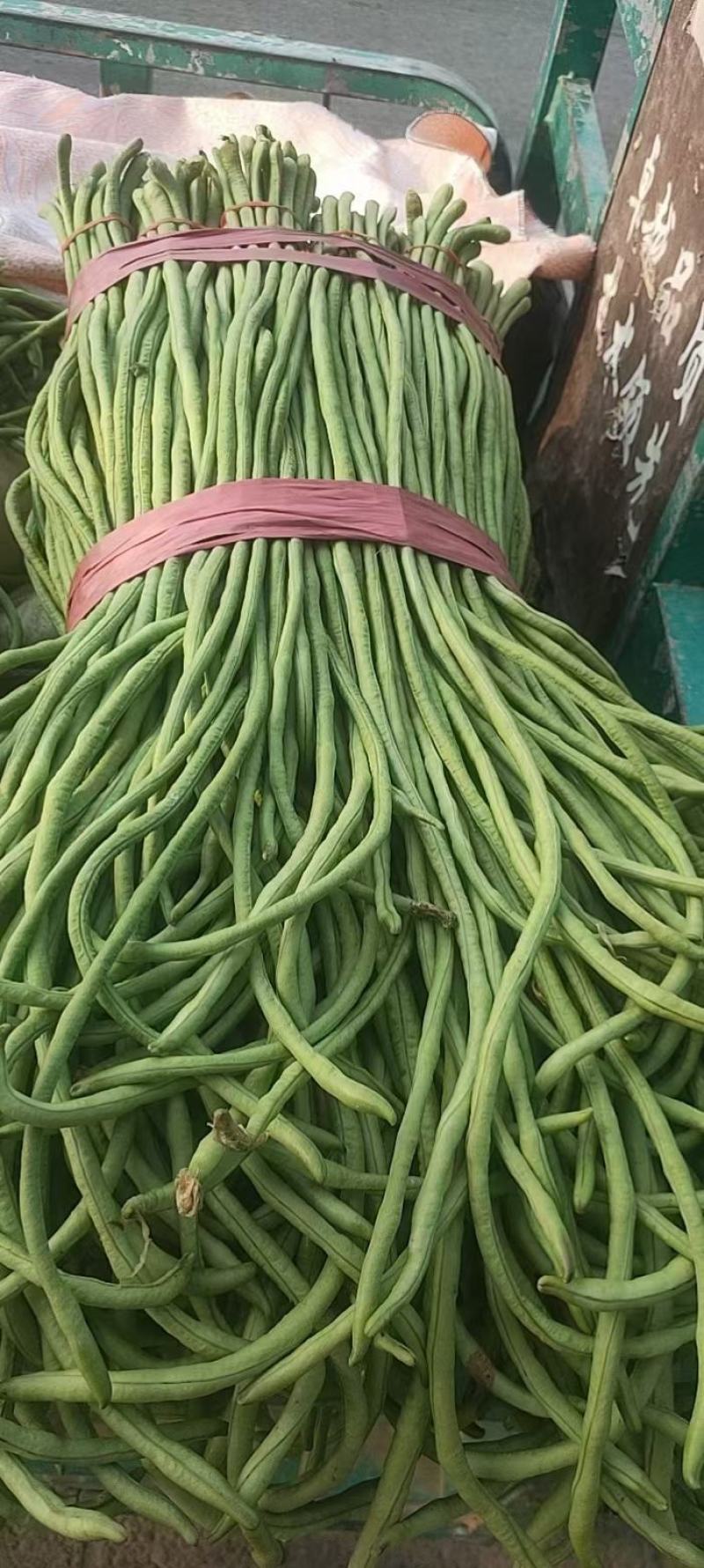 【实力】长豆角，豇豆，豆角，产区大量供应，各种蔬菜可拼车