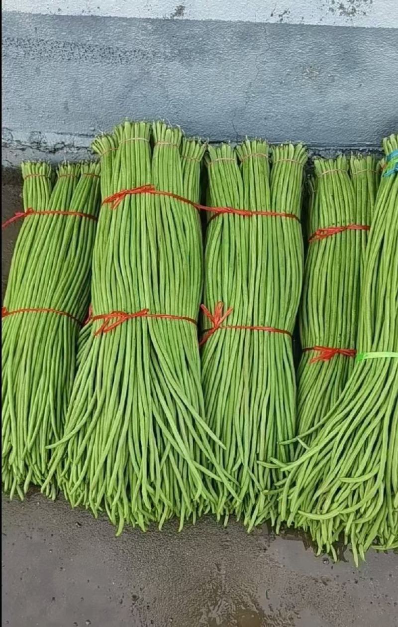 【实力】长豆角，豇豆，豆角，产区大量供应，各种蔬菜可拼车