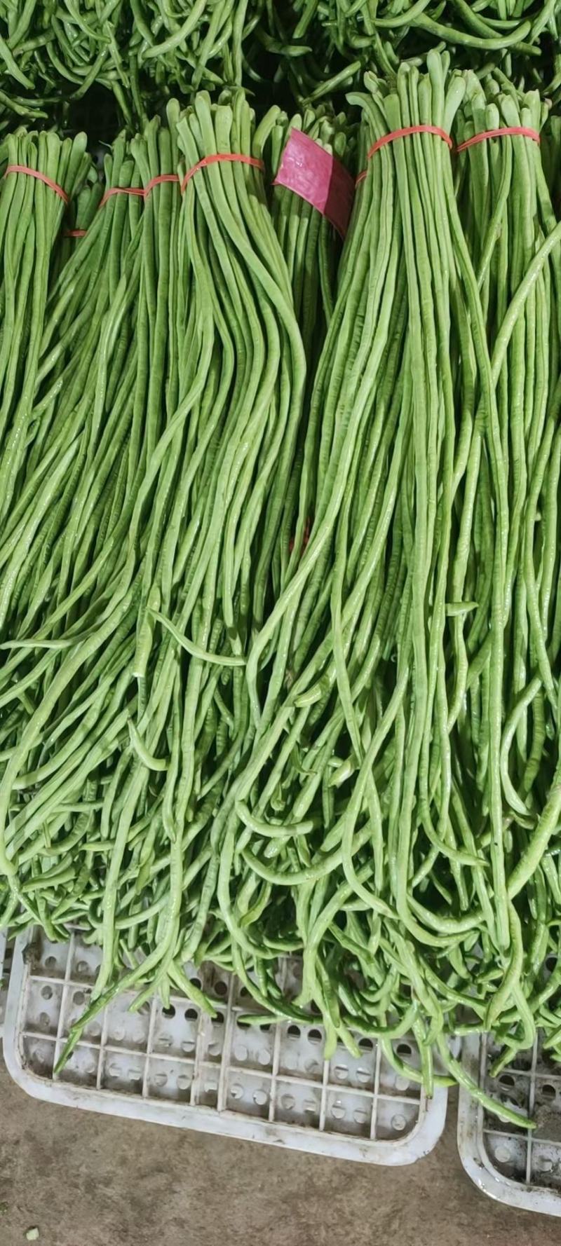 【实力】长豆角，豇豆，豆角，产区大量供应，各种蔬菜可拼车