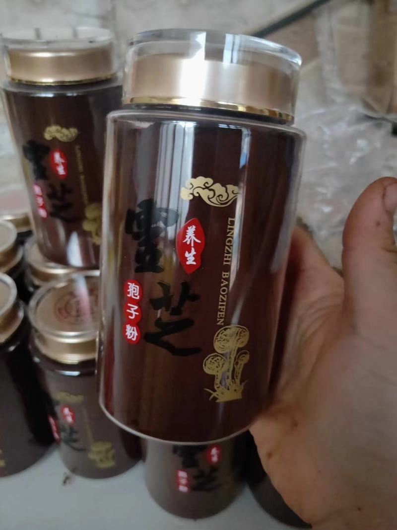 灵芝粉