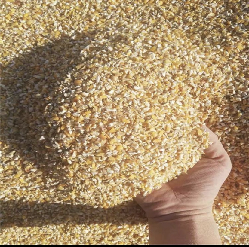 鸽子饲料槽中豌豆与其他谷物混合