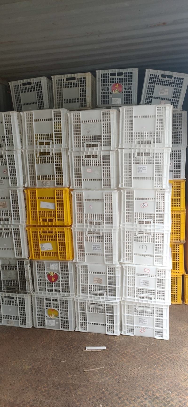 周转筐进口果蔬贸易包装长方形缕空周转塑料框物流周转箱