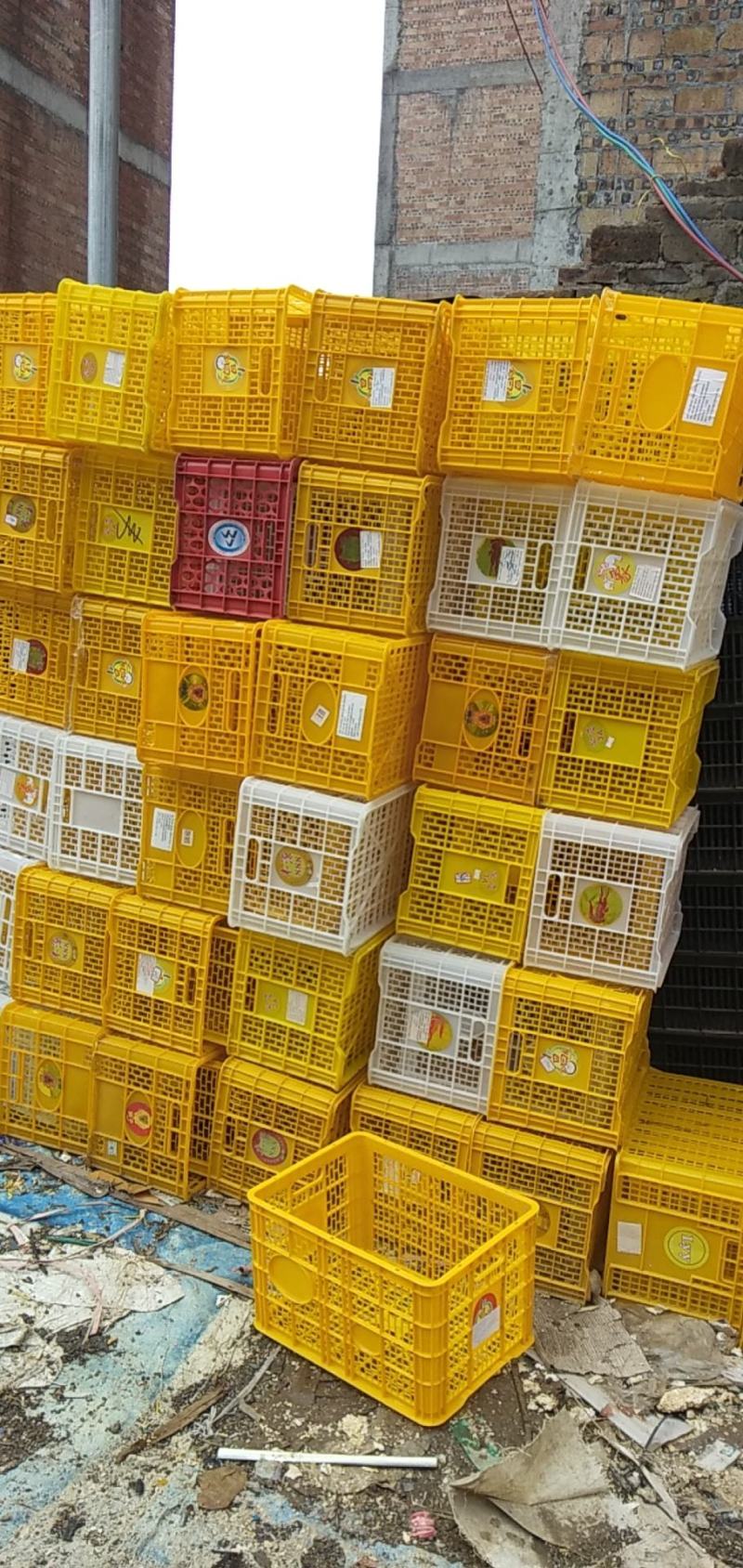 周转筐进口果蔬贸易包装长方形缕空周转塑料框物流周转箱