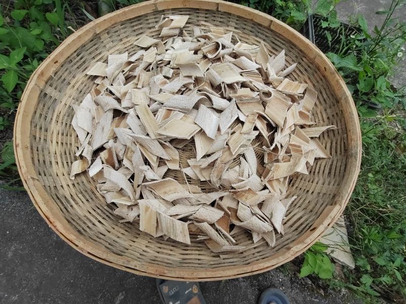 梧桐白皮！！！！！！！！！！！！梧桐树白皮
