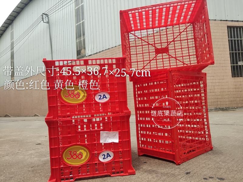 中号水果框缕空包装胶框进口贸易批发包装精品包装篮子周转框