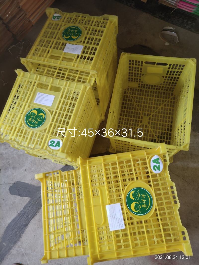 中号水果框缕空包装胶框进口贸易批发包装精品包装篮子周转框