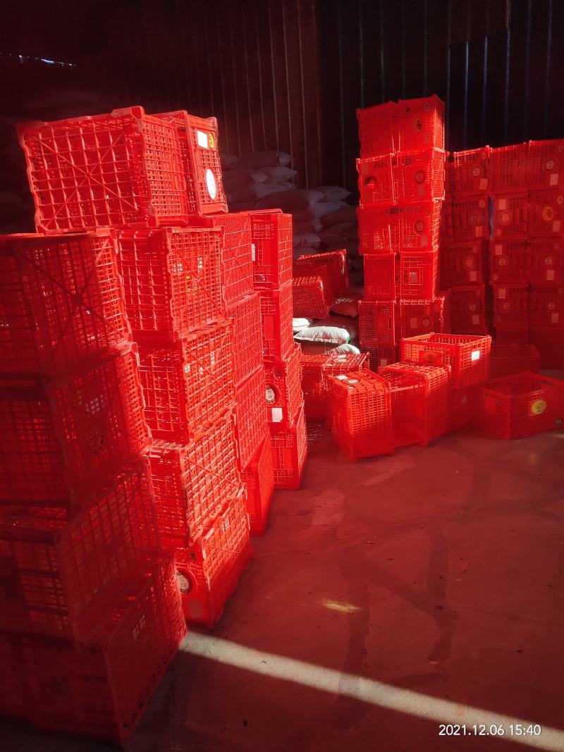 中号水果框缕空包装胶框进口贸易批发包装精品包装篮子周转框