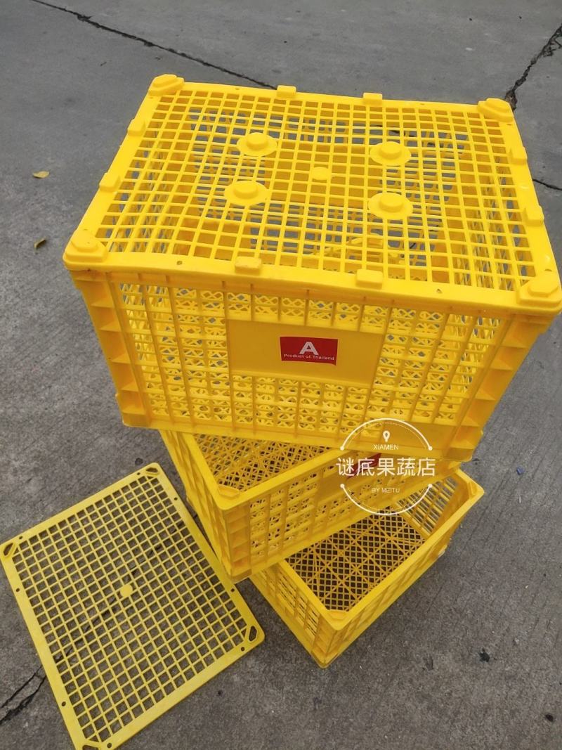 中号水果框缕空包装胶框进口贸易批发包装精品包装篮子周转框