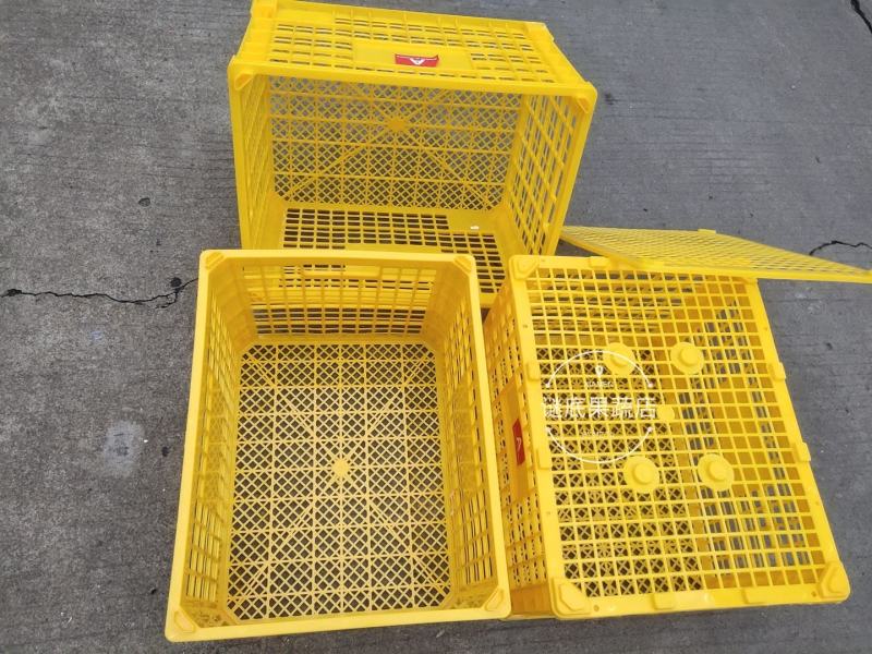 中号水果框缕空包装胶框进口贸易批发包装精品包装篮子周转框