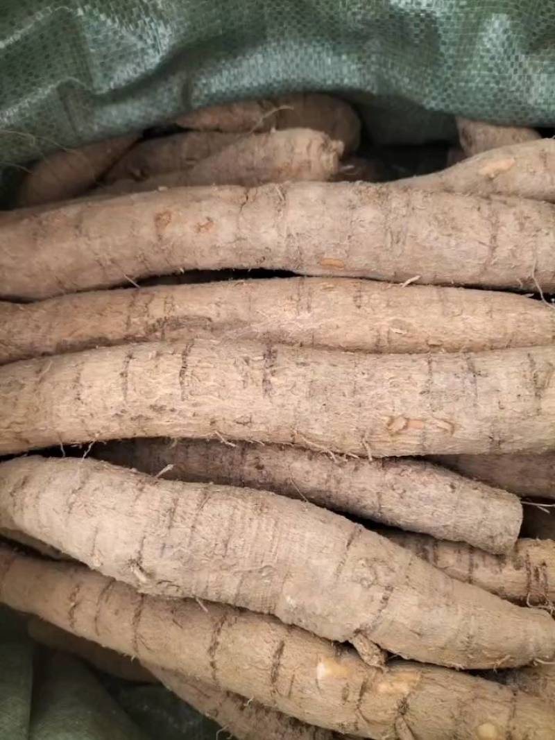 新鲜牛大力，中叶牛，煲汤靓货甘甜，各种规格齐全