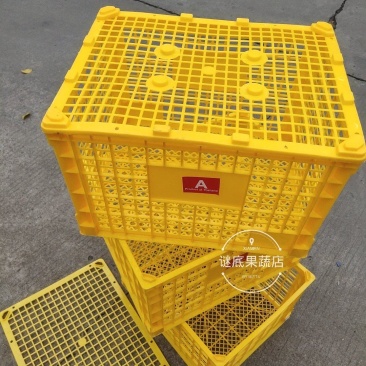 中号水果框缕空包装胶框进口贸易批发包装精品包装篮子周转框