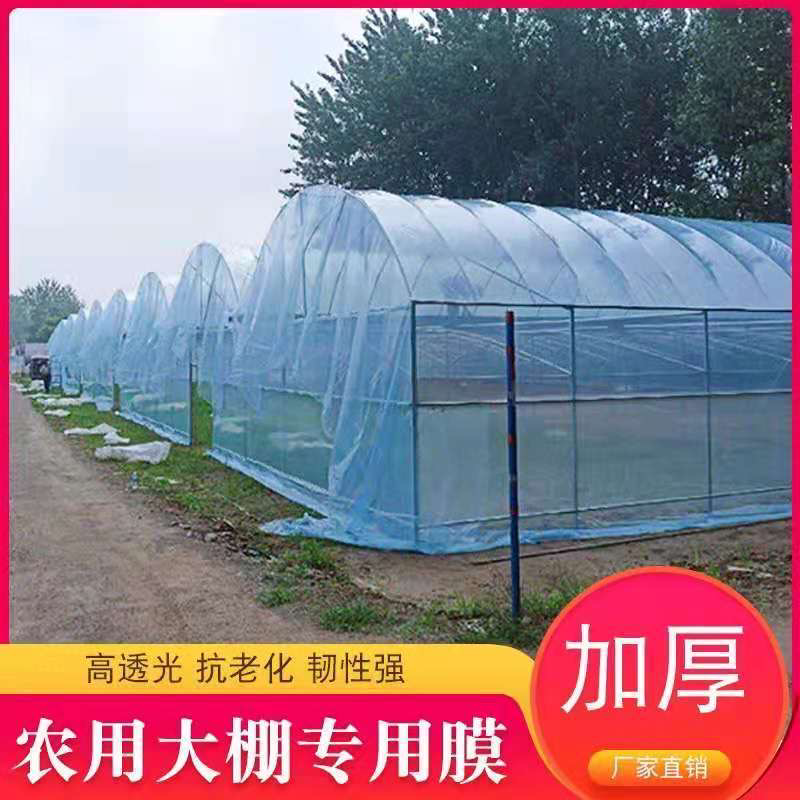 山东胜和高端大棚膜耐老化厂家直发各种规格尺寸齐全