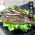 海洋大对虾鲜活冷冻