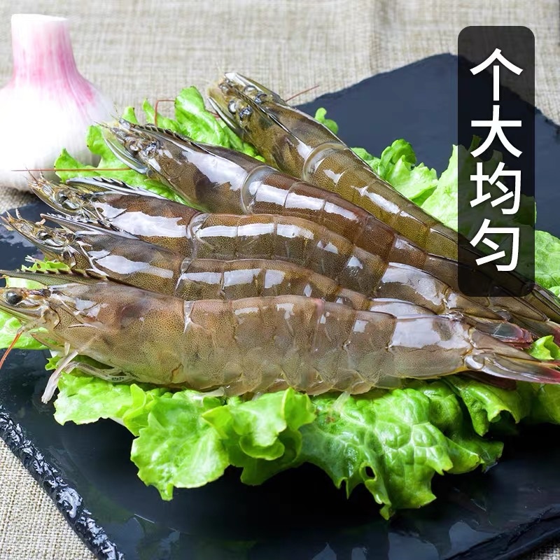 海洋大对虾鲜活冷冻