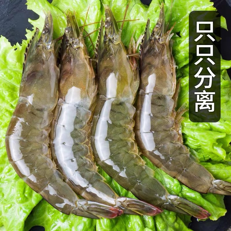 海洋大对虾鲜活冷冻