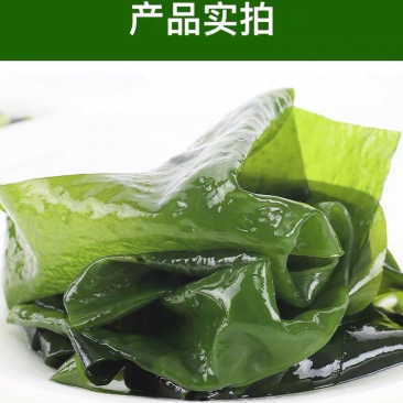 连云港发货盐渍裙带菜一盒5斤