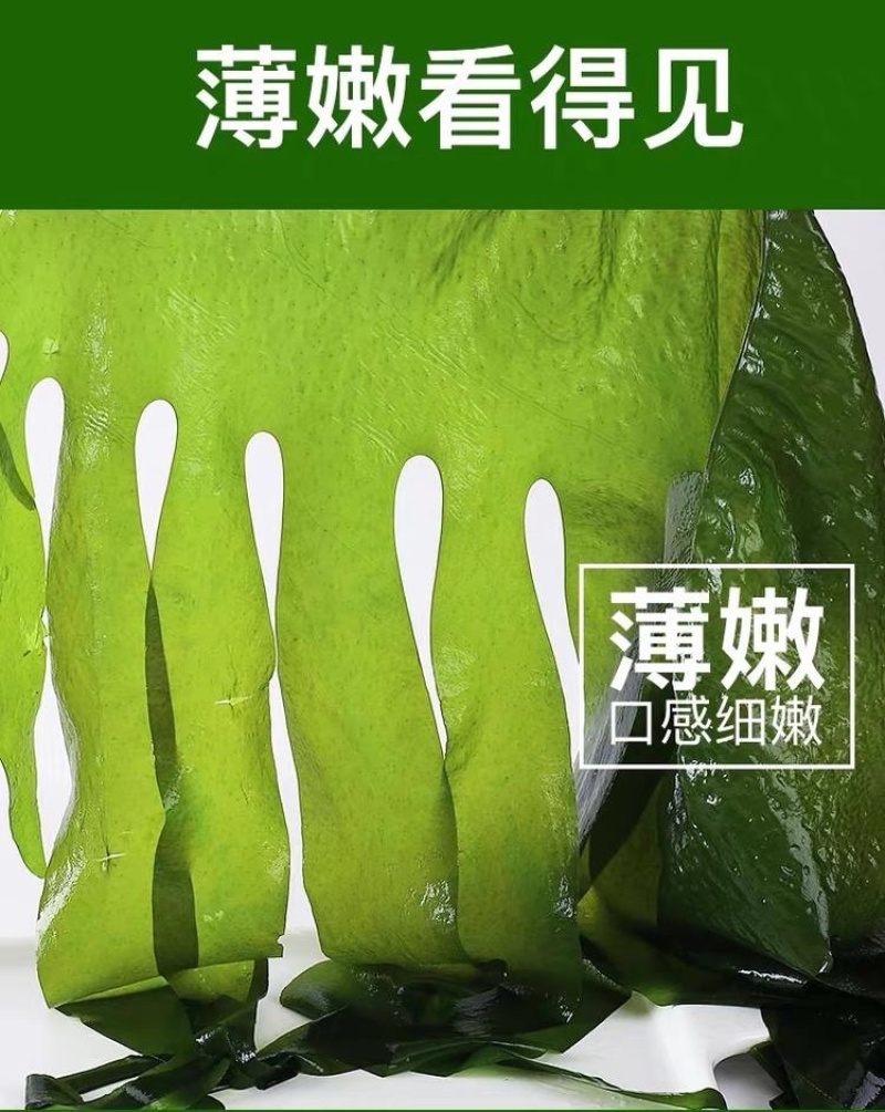 连云港发货盐渍裙带菜一盒5斤