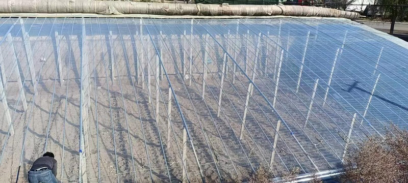 山东胜和高端大棚膜耐老化厂家直发各种规格尺寸齐全