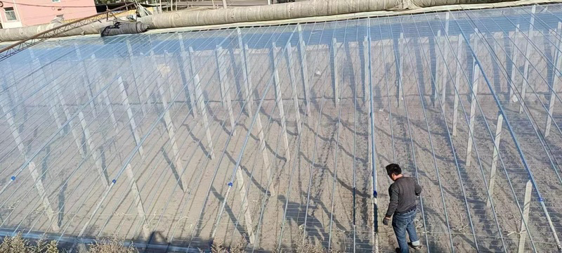 山东胜和高端大棚膜耐老化厂家直发各种规格尺寸齐全