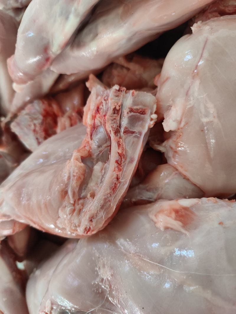 兔肉兔后腿肉整只后腿兔副产品兔分割兔前腿兔里脊