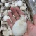 北海一厂家直销次品墨鱼仔、次墨丁，货源充足，量大价优