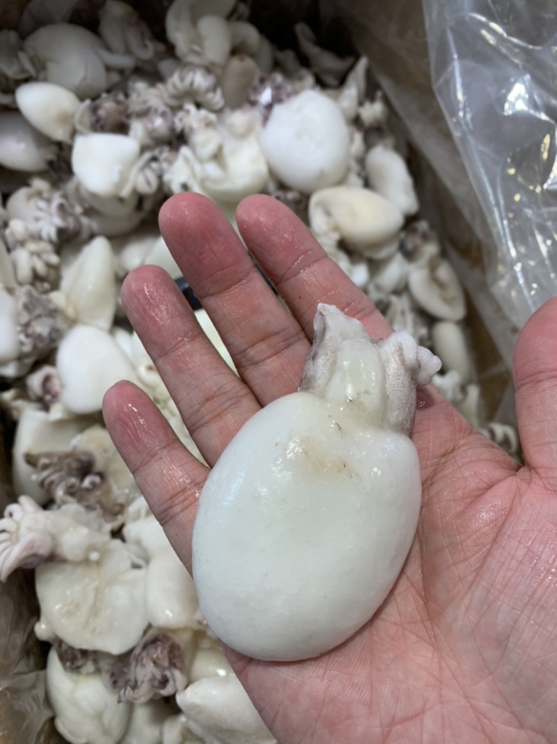 北海一厂家直销次品墨鱼仔、次墨丁，货源充足，量大价优